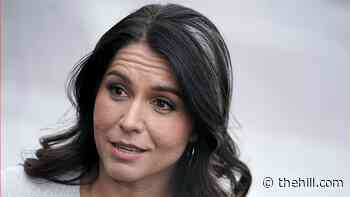 Tulsi Gabbard refusing COVID-19 vaccine until elderly Americans receive it, blasts 'CDC bureaucrats'
