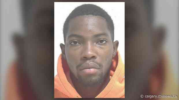 Victim of fatal Panorama Hills stabbing identified, search for suspect continues