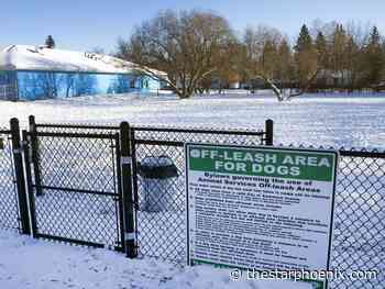 Council finishes year with decisions on public pathways, Knox United, off-leash dog parks