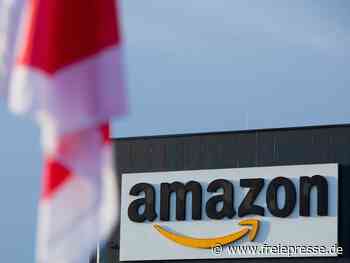 Amazon-Beschäftigte legen teilweise Arbeit nieder - Freie Presse