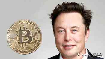 Elon Musks kryptischer Tweet - Tesla-Vermögen künftig in Bitcoin? - BILD