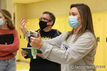 Fine arts programs continue to put together music, productions - The Image