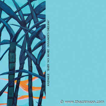 Single Review: 'Baby No More (NNAMDÏ's Dream)' Is Piano-Cover Magic | Arts - Harvard Crimson