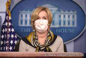 White House coronavirus adviser Deborah Birx defends Thanksgiving trip to holiday home