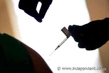 Vatican permits use of Covid vaccines made using aborted fetal tissue