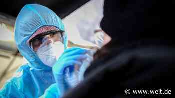 Test-Hoffnung für alle – mit der Nasen-Idee können sich Laien bald zu Hause testen