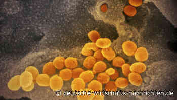 Drosten: Virus-Variante eher kein größeres Problem für Deutschland