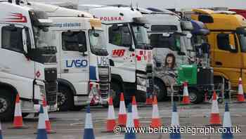 More than 4,000 food and drink lorries halted by virus disruption, MPs told