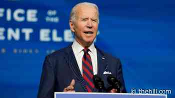 Biden won't immediately roll back Trump immigration restrictions, advisers say