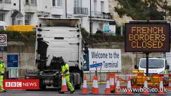 Ports chaos 'bad for trust and post-Brexit trade'