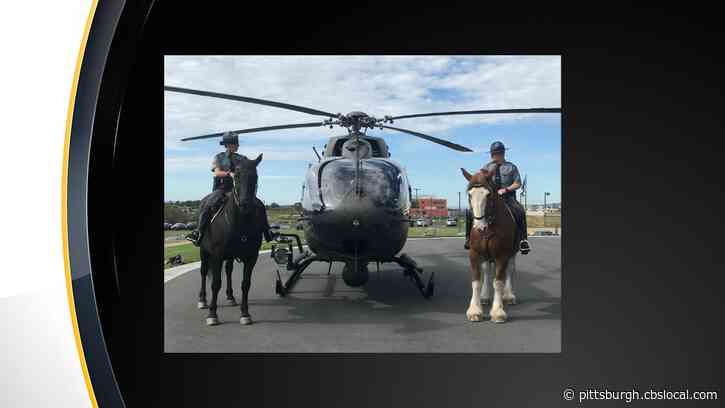 State Police In Need Of Horses For Their Mounted Patrol Unit