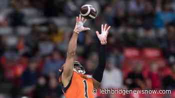 Homegrown receiver Lemar Durant signs extension with B.C. Lions - Lethbridge News Now