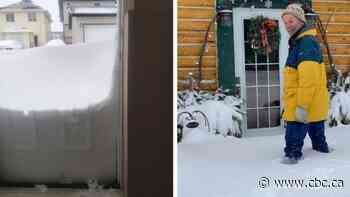 Massive winter storm dumps 70 cm of snow on some parts of southern Alberta