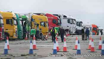 Mass testing for lorry drivers aims to ease congestion as French border reopens