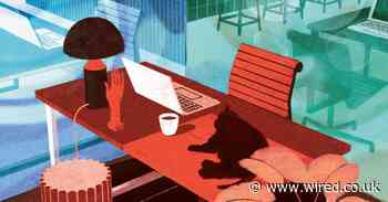 The Zoom pint is about to get a big upgrade