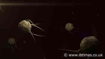 COVID-19 pandemic gives rise to super gonorrhea strain after overuse of antibiotics