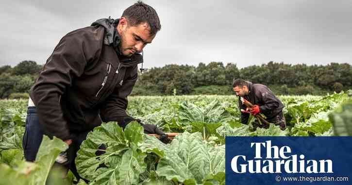 UK farmers to get more help from overseas workers for 2021 harvest