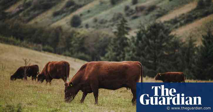 Organic meat production just as bad for climate, study finds