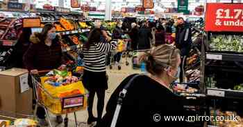 Panic-buying Brits snatch Yorkshire puddings out of trolleys amid food shortage fears - Mirror Online