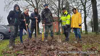 La communauté urbaine d'Arras va planter 4 000 arbres - L'Avenir de l'Artois
