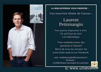 Interview filmée de Laurent Petitmangin Bibliothèque municipale de Lamorlaye samedi 23 janvier 2021 - Unidivers