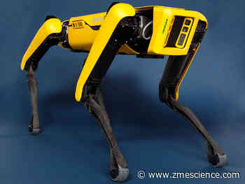 The best gadgets and robots of 2020 - ZME Science