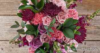 Best flower delivery service to use for 2021     - CNET