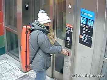 Suspect photos released in theft of 1757 violin on TTC - Toronto Sun