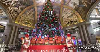 Navidad en Buenos Aires: el imponente árbol que busca ser un punto de encuentro seguro para los porteños - infobae
