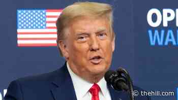 Trump's refusal to concede sows confusion among staff