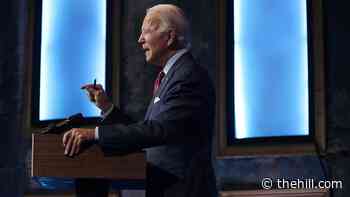 Biden COVID-19 adviser: We anticipate next month will be 'horrible'