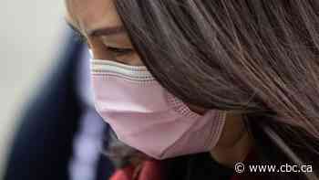 Meng Wanzhou braces for fight over bail conditions as extradition case gears up in 2021