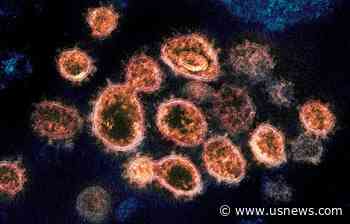 Studies Find Having COVID-19 May Protect Against Reinfection