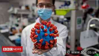 Coronavirus variants and mutations: the science explained