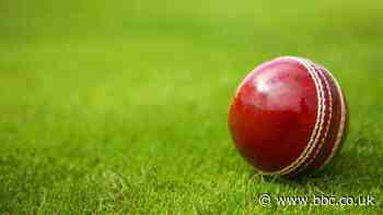 Cricket: 'Reforms needed to tackle race complaints at local level'