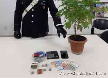 Putignano, eroina pronta per lo spaccio: arrestato pregiudicato - Borderline24 - Il giornale di Bari