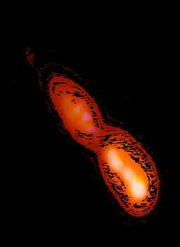 A Blazar in the Early Universe: Details Revealed in Galaxy’s Jet 12.8 Billion Light-Years From Earth