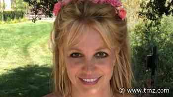 Britney Spears Had Early Christmas with Her Boys