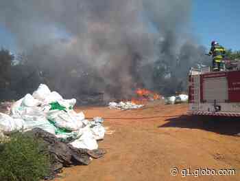Incêndio em depósito de reciclagem mobiliza bombeiros em Ibitinga - G1