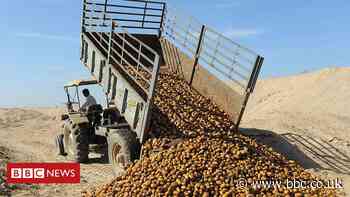 India farmer protests: How rural incomes have struggled to keep up