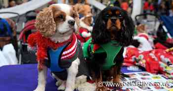 Shoppers hit Belfast city centre as Christmas approaches - Belfast Live