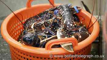 Channel disruption remains ‘big worry’ for fish and seafood sector