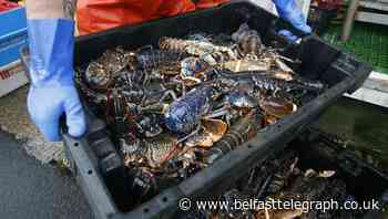 PM has sacrificed fishing to secure trade deal, say industry leaders