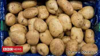 EU to allow post-Brexit UK farm produce exports