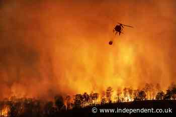 California power firm threatens to cut off 130,000 households amid wildfire threat