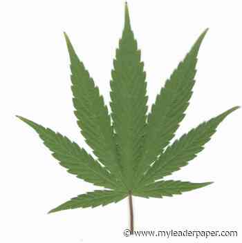 Jefferson College to offer medical cannabis dispensary agent training starting in January - Leader Publications