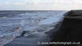 Sperm whales die after becoming stranded on East Yorkshire coast