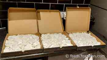 UK police seize more than $600G worth of drugs hidden in pizza boxes 