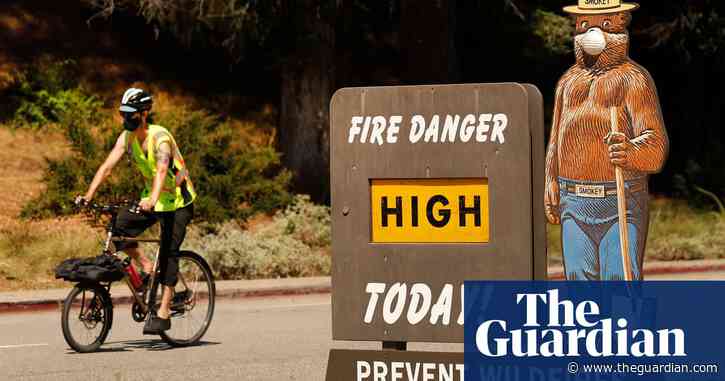 New museums and Smokey Bear: what's in the $900bn US stimulus package?