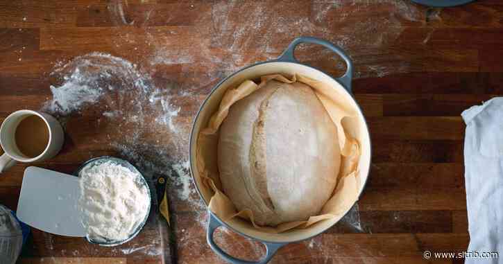 Farhad Manjoo: All I needed to survive lockdown was sourdough
